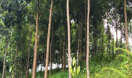 THÀNH ĐẠT – Doanh Nghiệp Xanh, Phát Triển Bền Vững